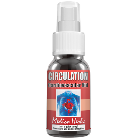 Heart, Brain & Energy